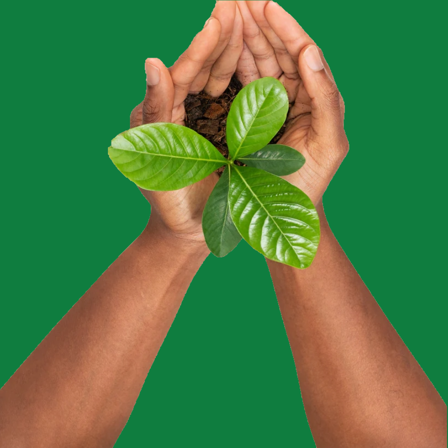 Full Colour Branding